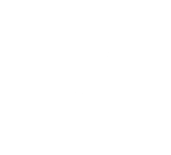 persistence.co.za